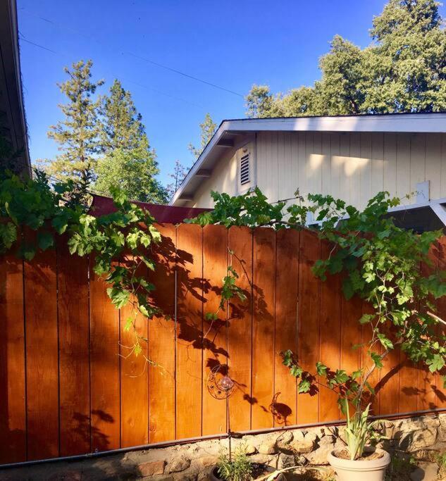 Sierra Sunset Cottage -Yosemite Area Vacation Cottage Ahwahnee Exterior photo